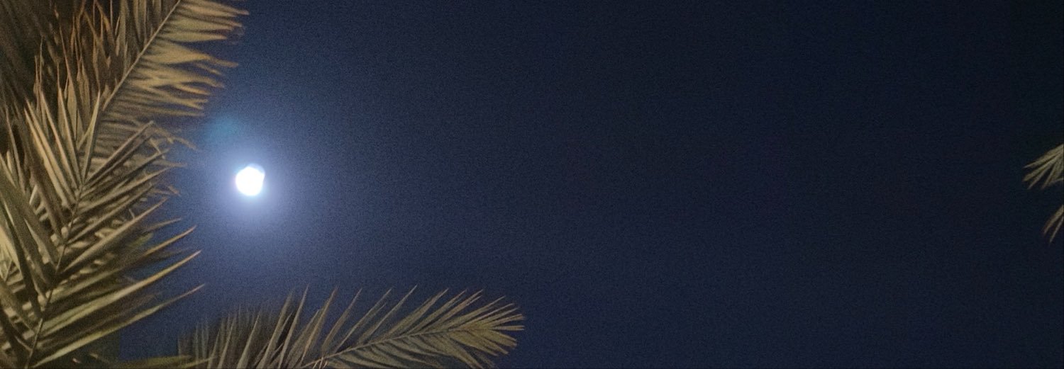 sh3iloh's profile banner image