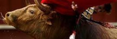 temundoalex's profile banner image