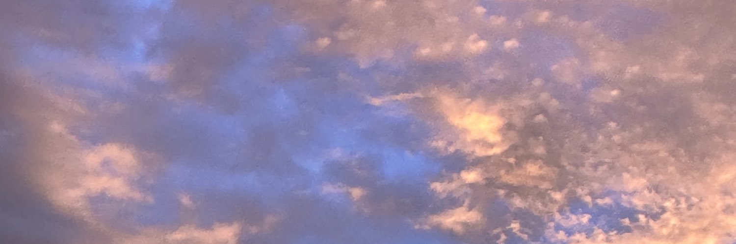 ayyeadri's profile banner image