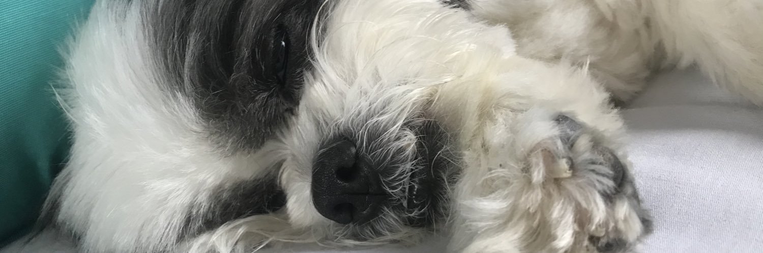 LudmiilaLima's profile banner image