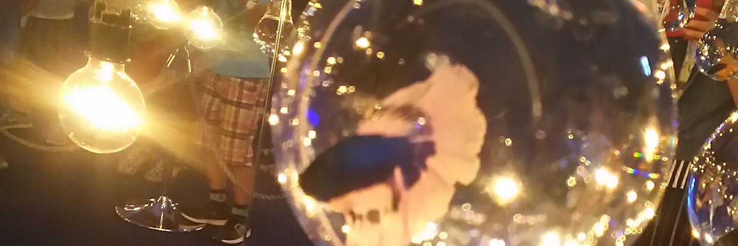 o__sts__'s profile banner image