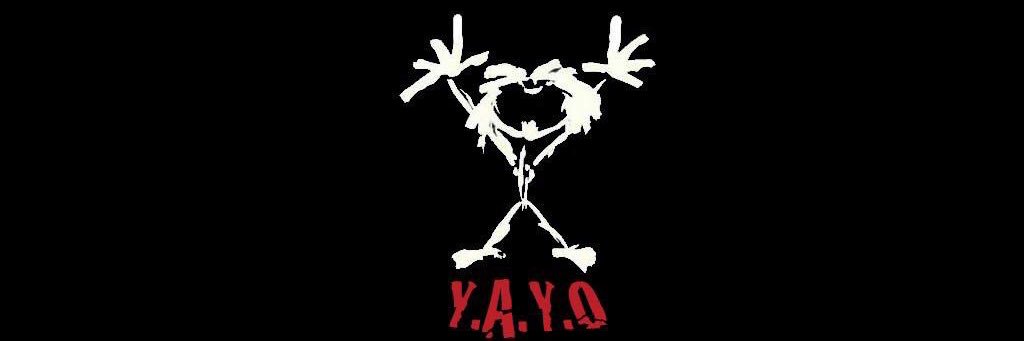 YaYoKamm's profile banner image