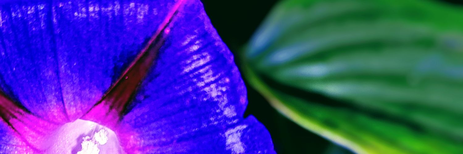 rmlest's profile banner image