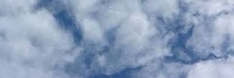 SunnyFrnch's profile banner image