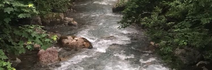 PeytonEllert's profile banner image