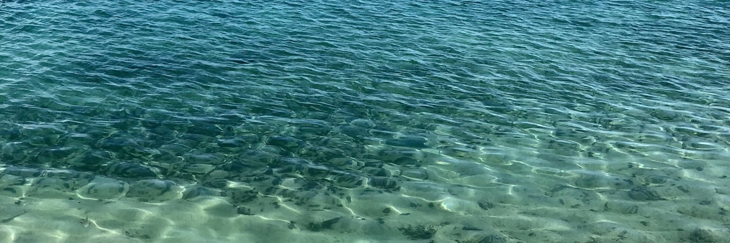 RaedDanielle's profile banner image