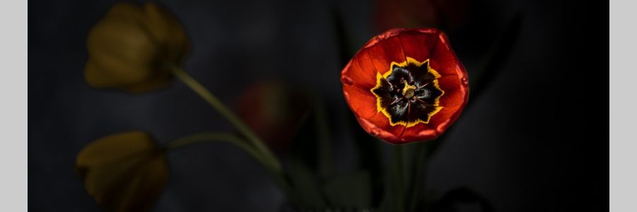 ChurchillCZ's profile banner image