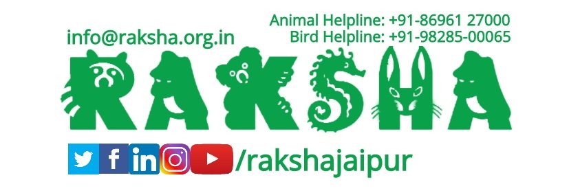 RakshaJaipur's profile banner image