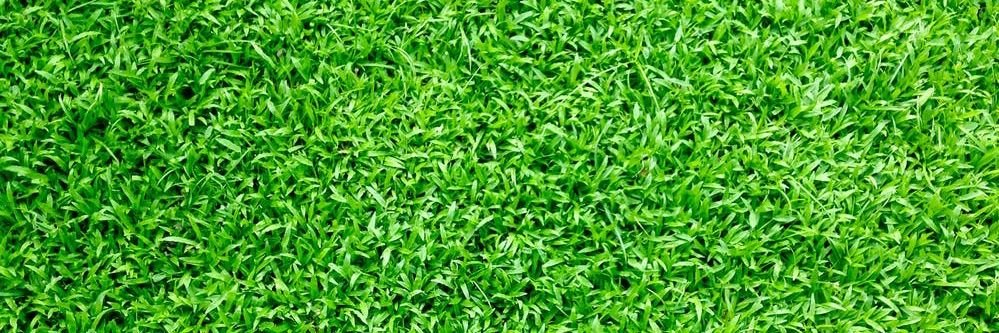 CryptoVerseLog banner