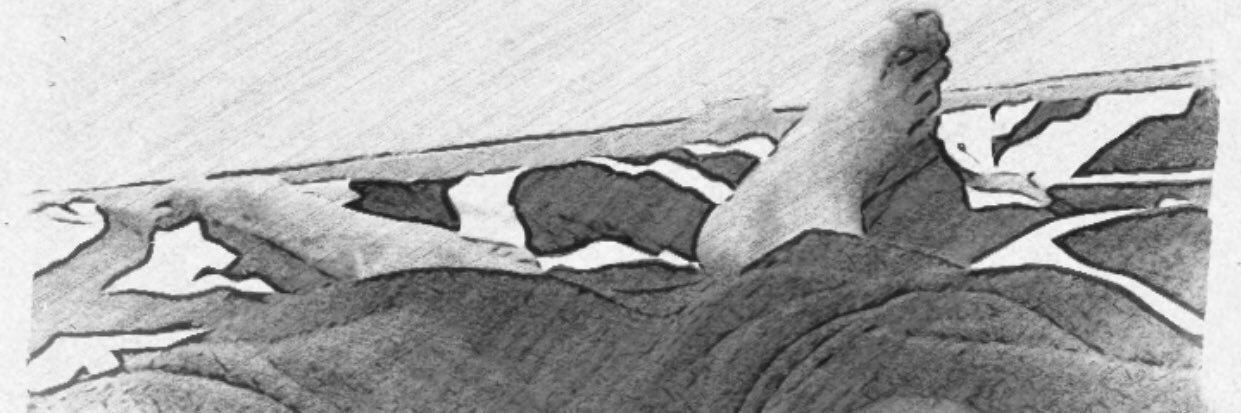 prabiio_ banner