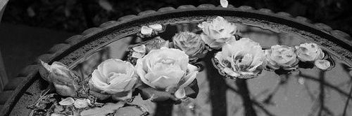 speaklove18's profile banner image