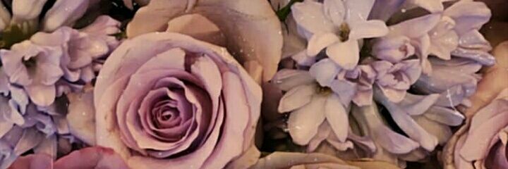 valentina772003's profile banner image