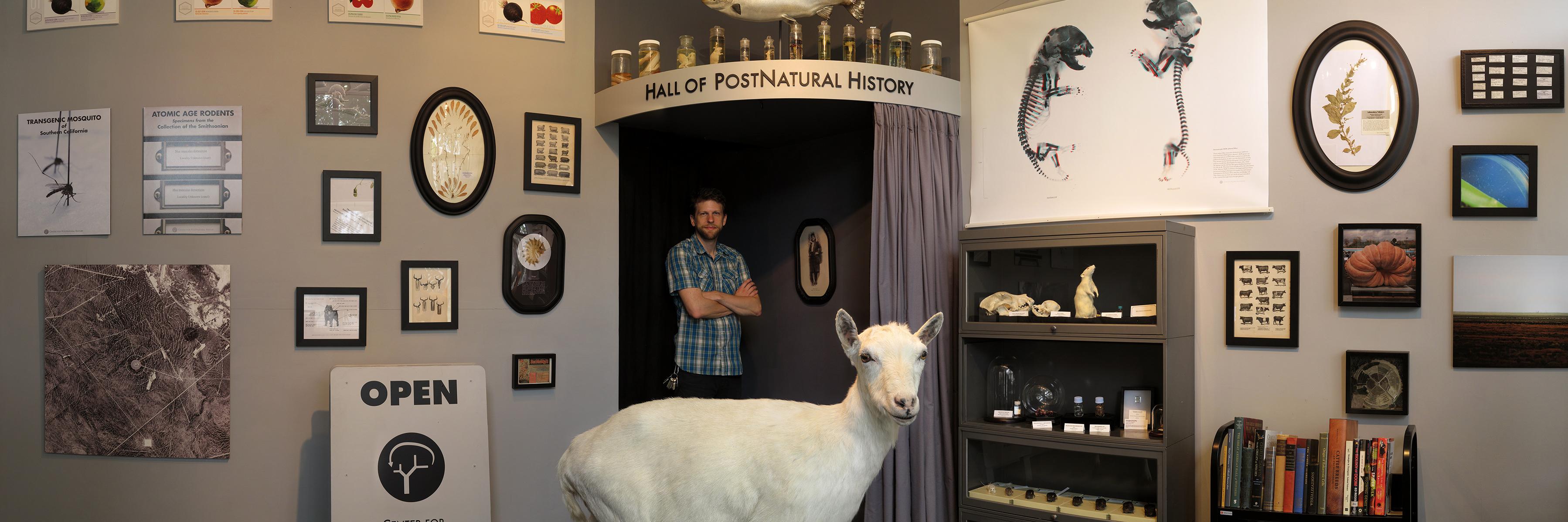 PostNatural History banner