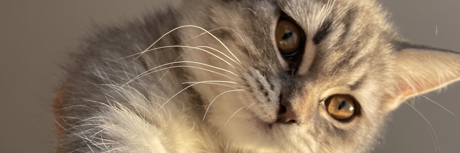 Rubby banner