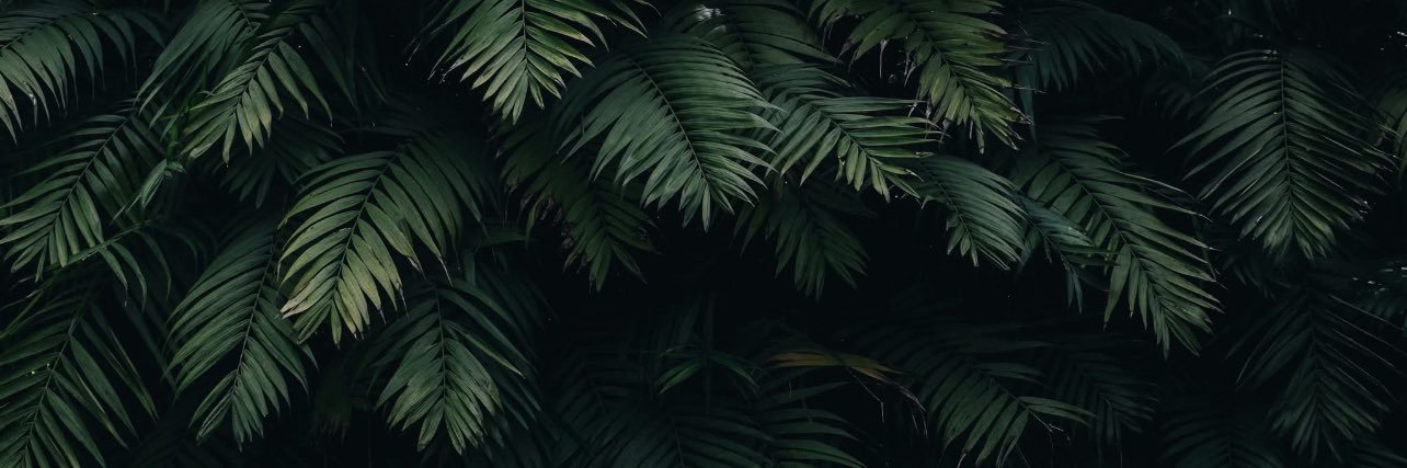 RebeccaLeePerry's profile banner image