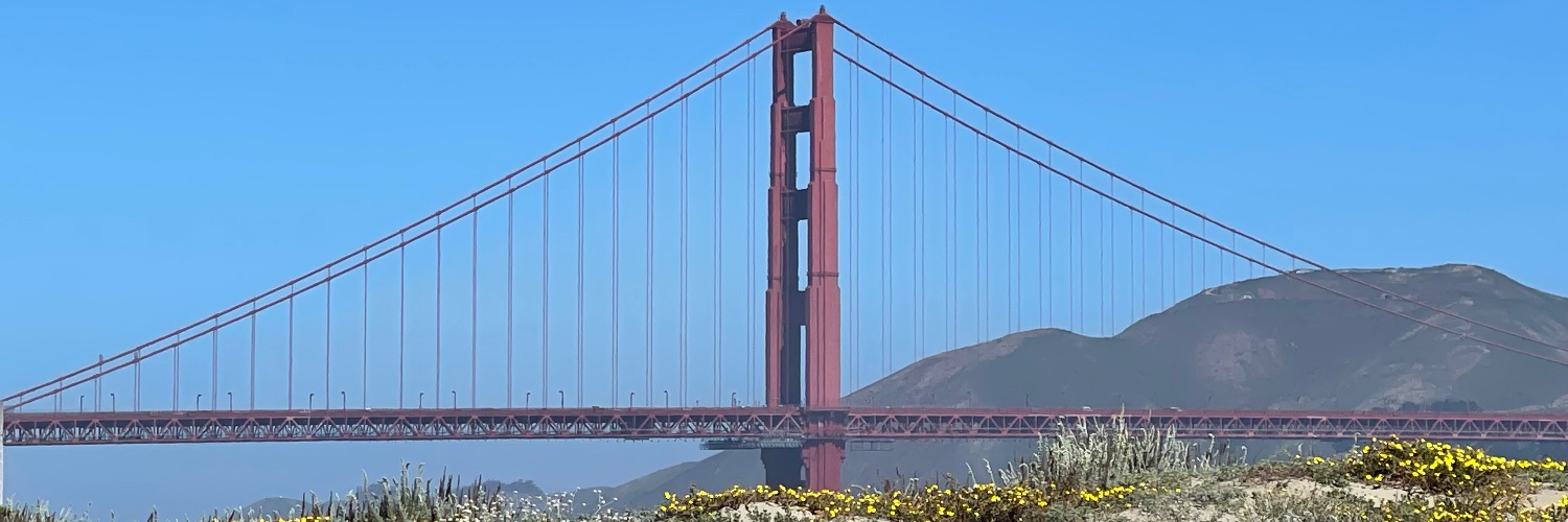 beyondthetrend's profile banner image