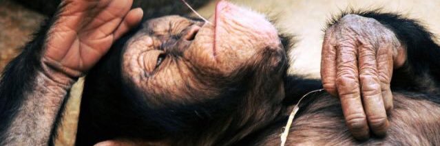 ram09041973's profile banner image