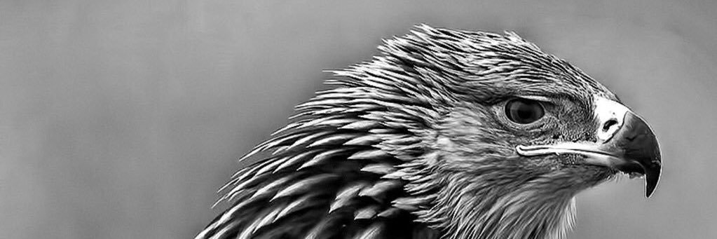 ErdGo's profile banner image