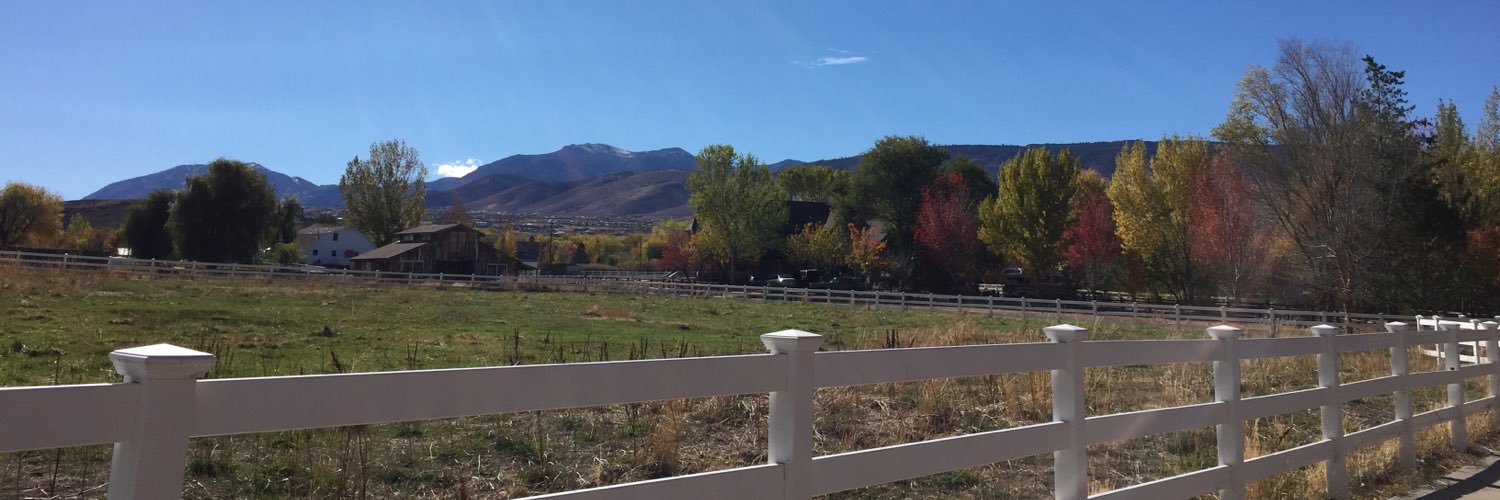 Lindsay Anderson banner