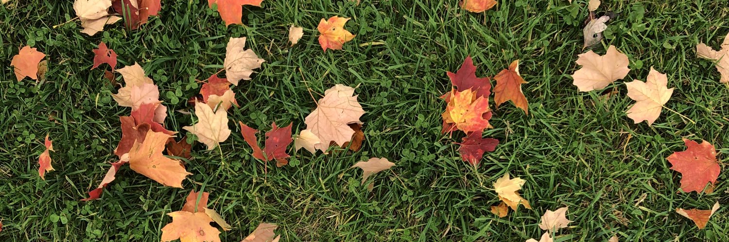 Seblapierre1's profile banner image