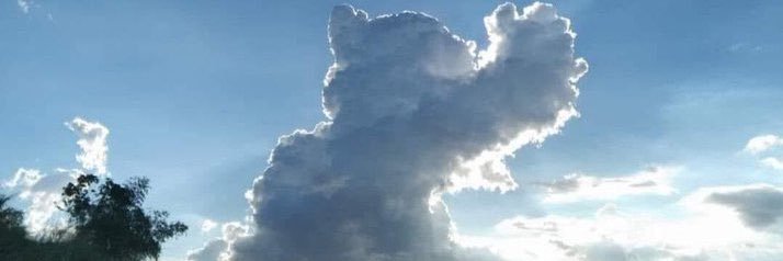 AWihdah's profile banner image