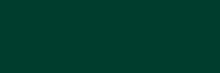 ariana_inf's profile banner image