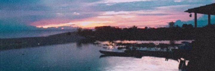 eduarda_palheta's profile banner image