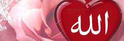allya_ns's profile banner image
