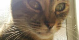 meenean63's profile banner image