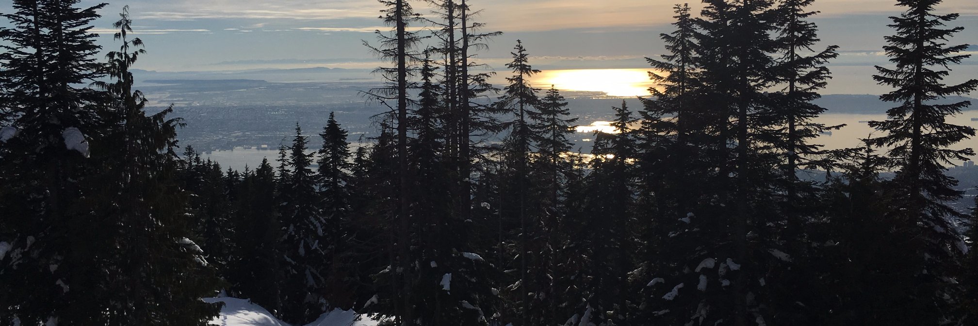 CharlotteChamberlain banner