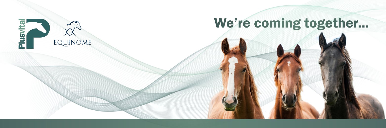 PlusvitalIRE's profile banner image