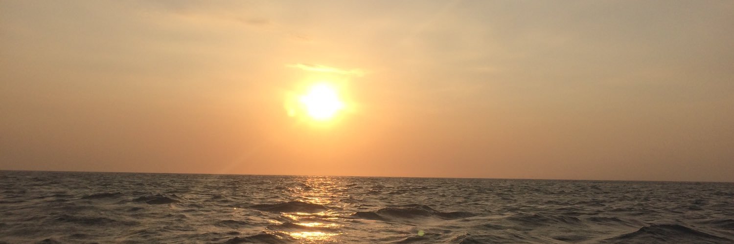 bolivarsory's profile banner image