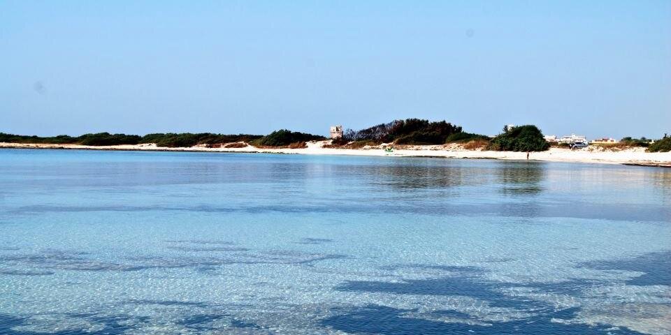 MasseriaPotenti's profile banner image