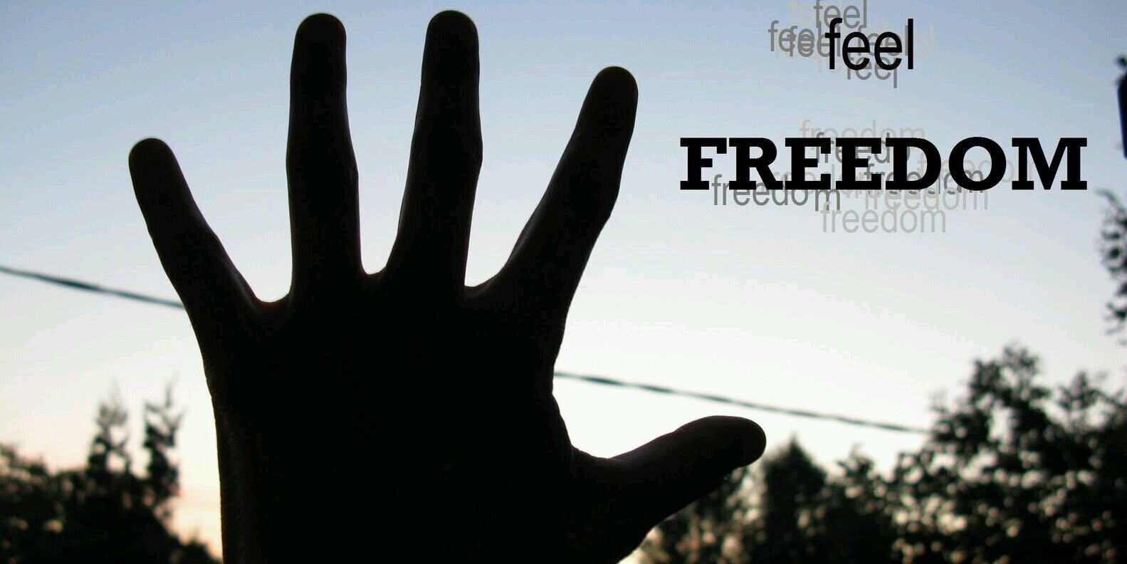 Freedom 4 All banner
