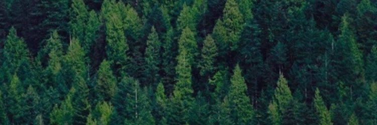 oderaj's profile banner image