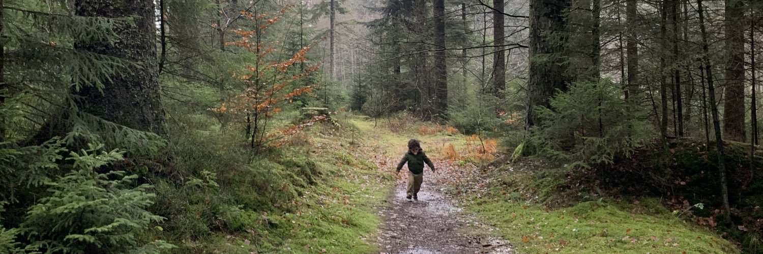 Christophe Bauer banner