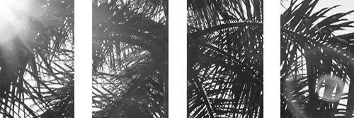 __liyahx__'s profile banner image
