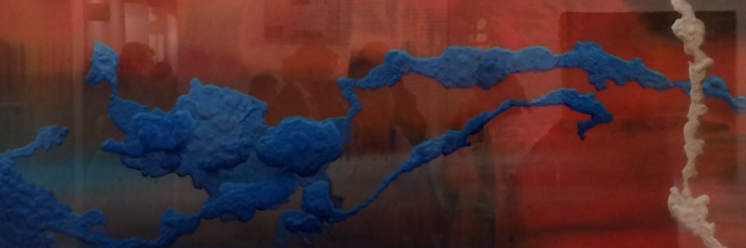 hskorczy's profile banner image