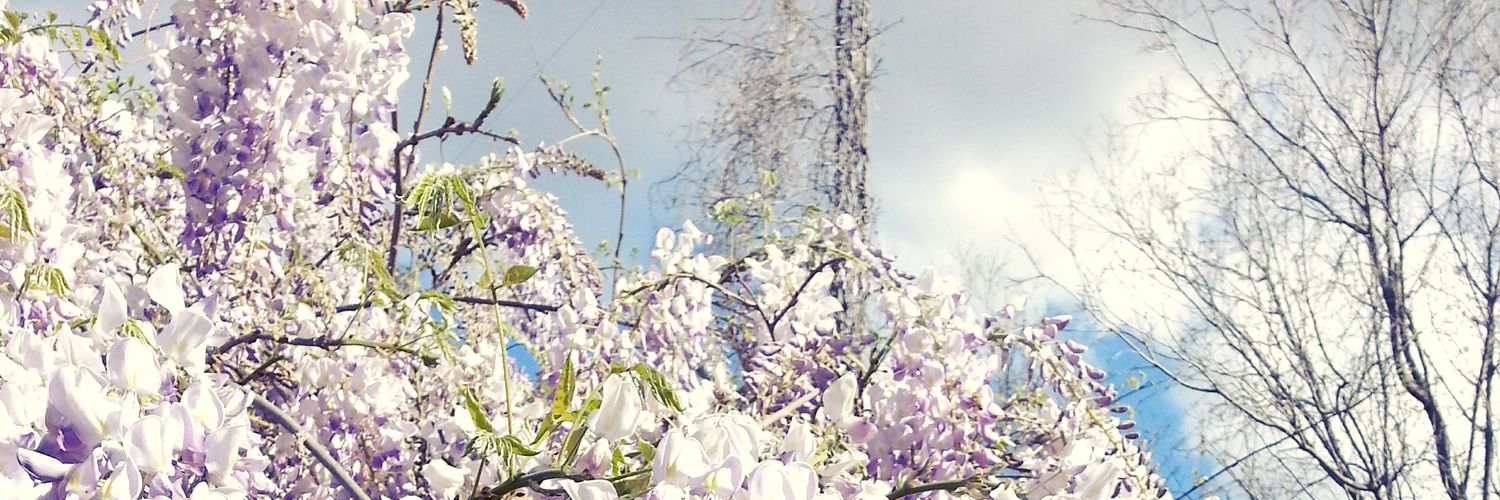 MJoui's profile banner image