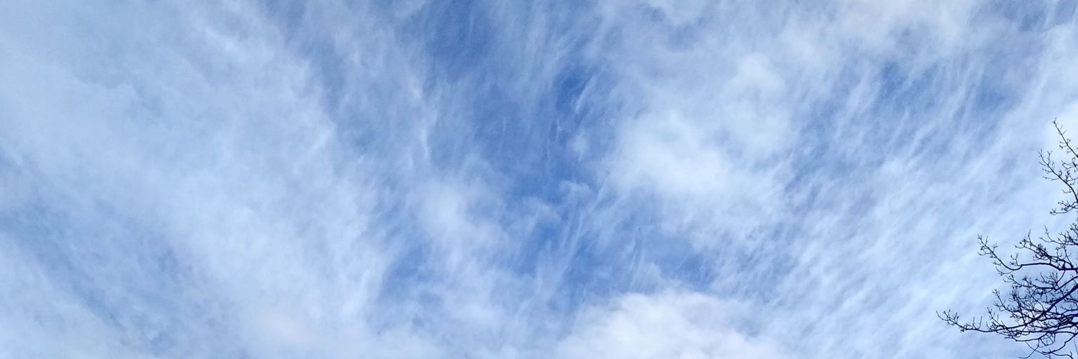just_trying17's profile banner image
