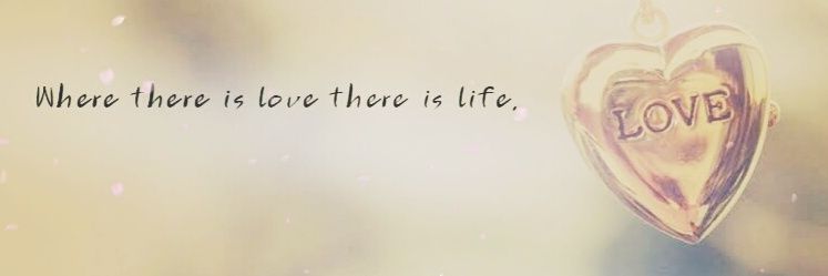 harryece's profile banner image