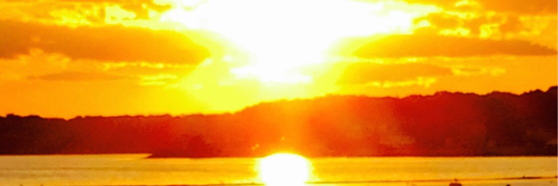 phoodoski's profile banner image