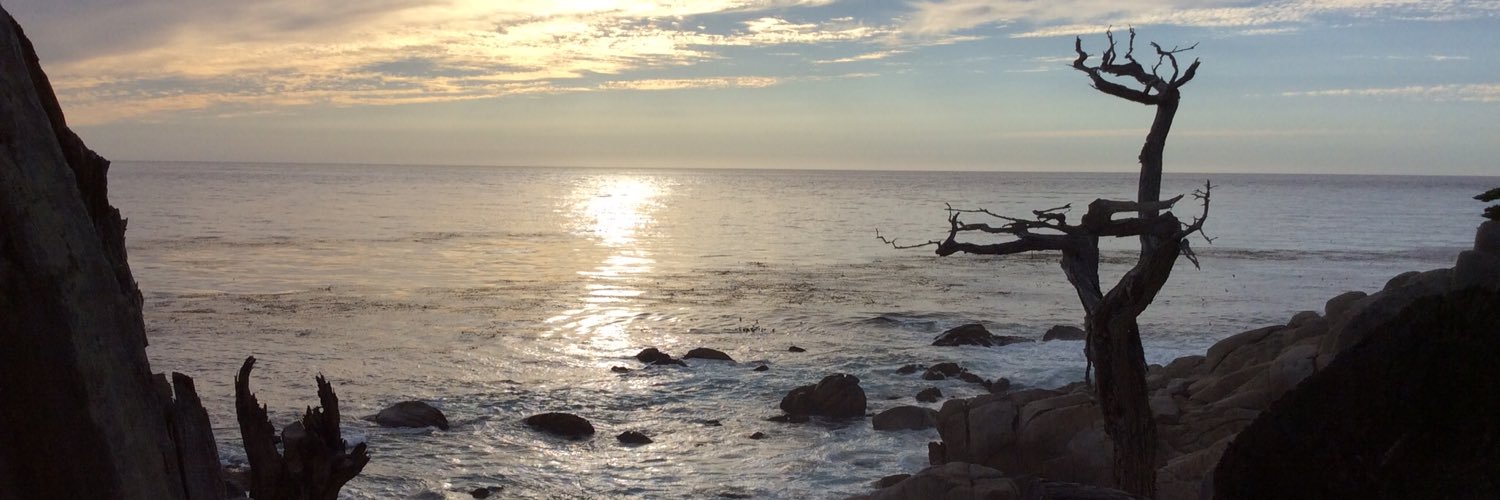 sazkingrobinson's profile banner image