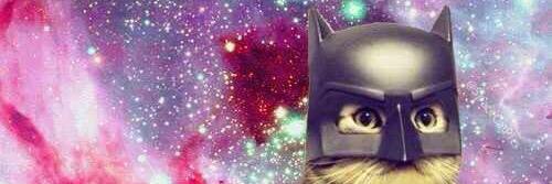 missesta's profile banner image