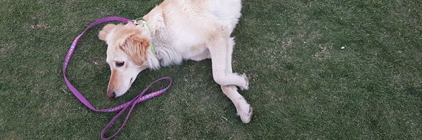 WaywordIdeas Profile Banner