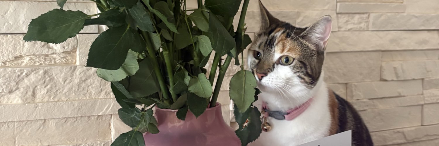 kaarolina9's profile banner image