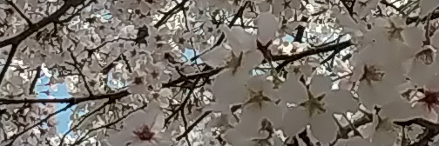 papipapi515's profile banner image