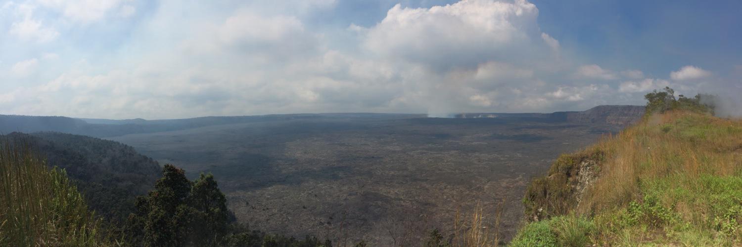 David Collins banner