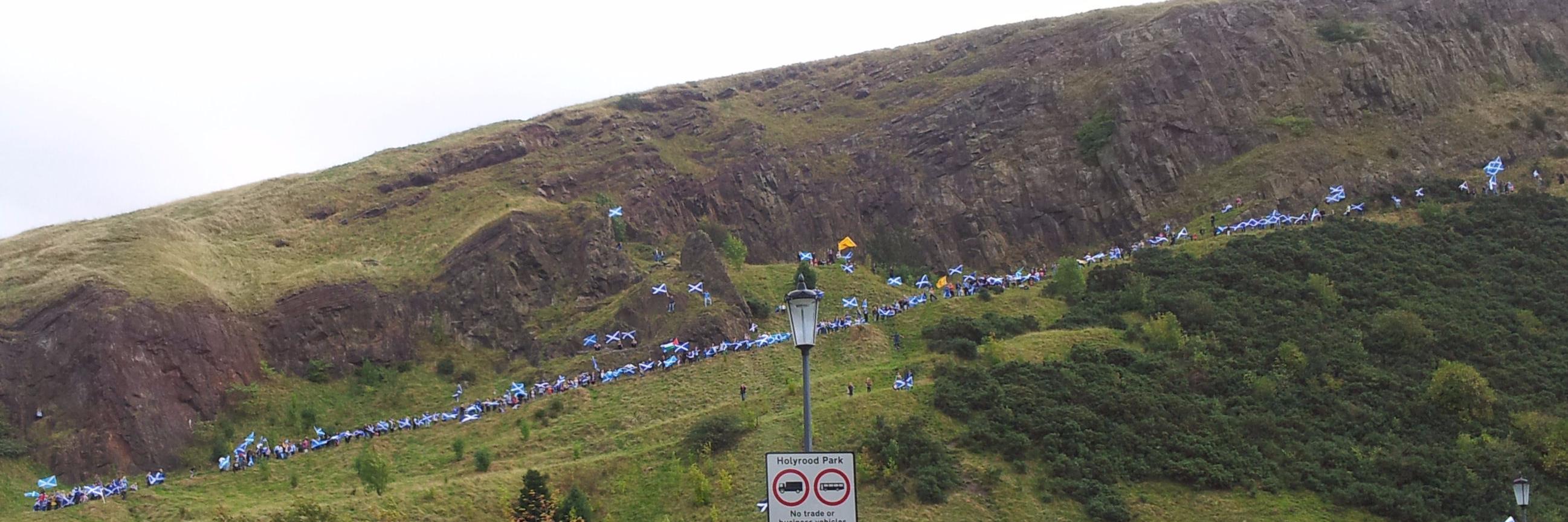 Rob Wilkinson banner