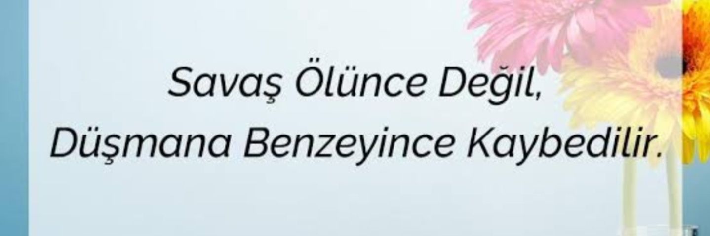 mehmethaskul's profile banner image